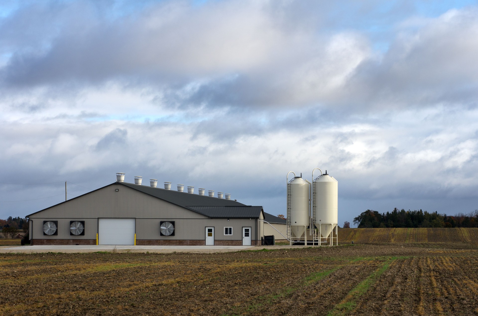 Steel livestock barn with dual grain silos on a rural farm in Texas Steel livestock barn with dual grain silos on a rural farm in Texas